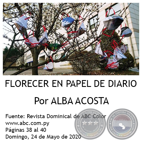 FLORECER EN PAPEL DE DIARIO - Por ALBA ACOSTA - Domingo, 24 de Mayo de 2020